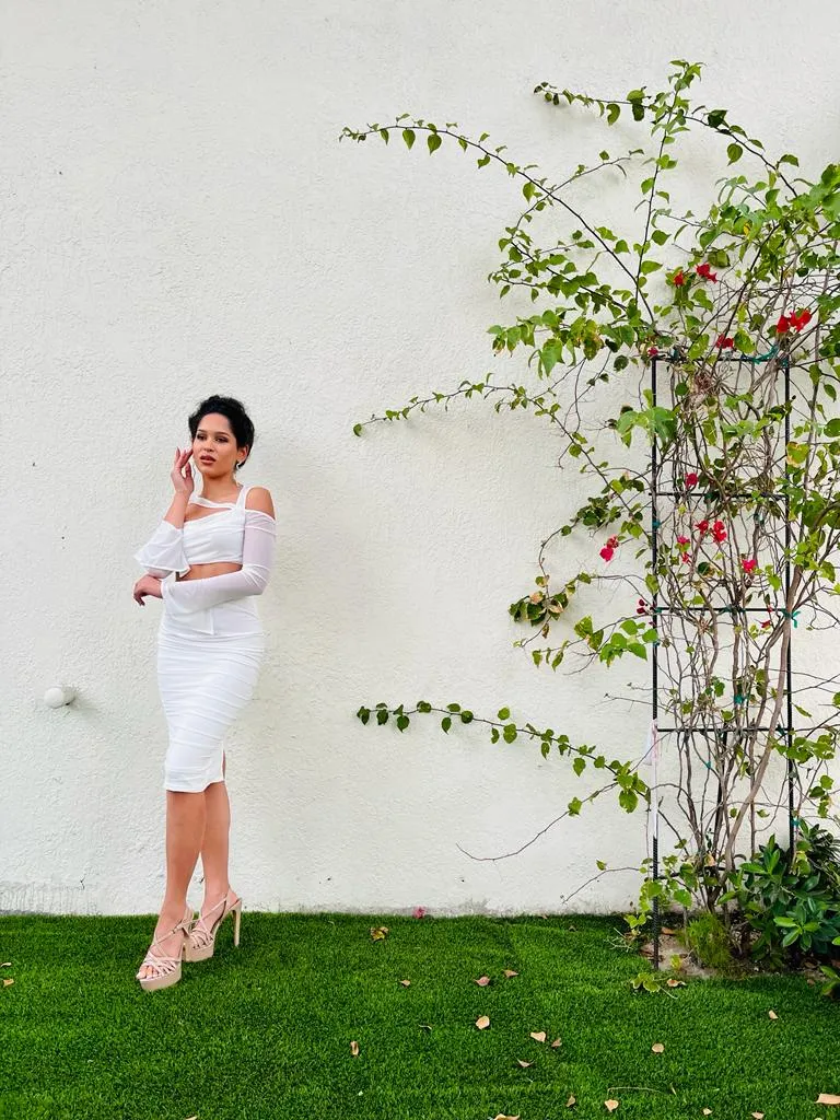 Gabriella rouged white mesh cached pencil skirt